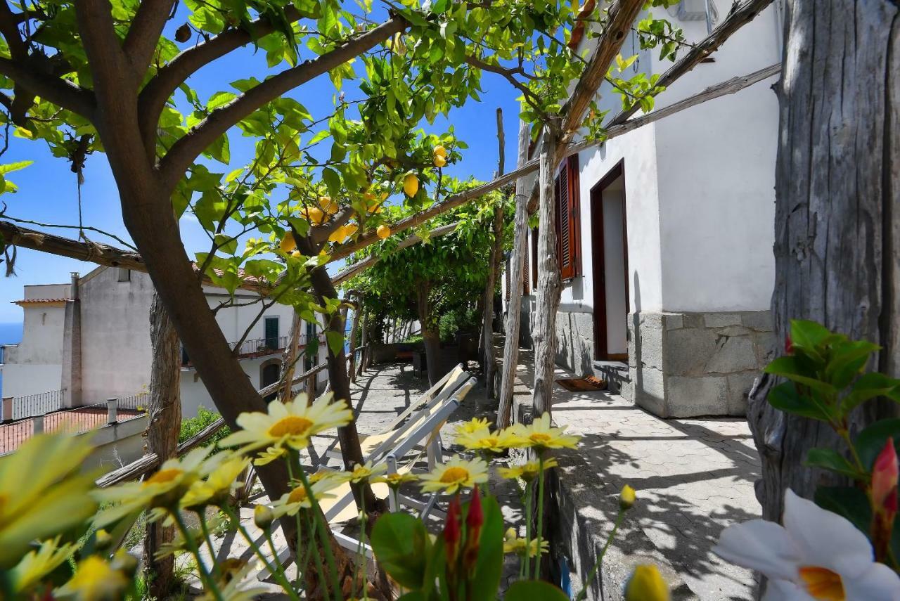 Dama Di Cuori Villa Conca dei Marini Eksteriør billede
